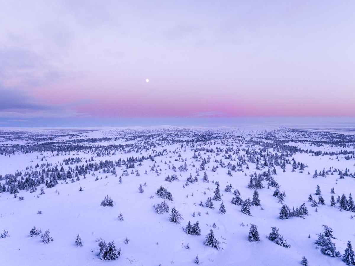 Lunaarinen Maya-sointu