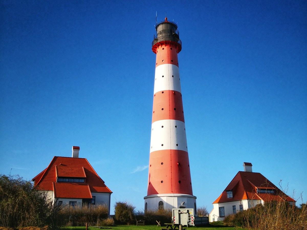 Voimavirta koiras, tavallinen&nbsp;naaras